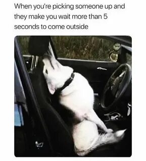 Can be picked up