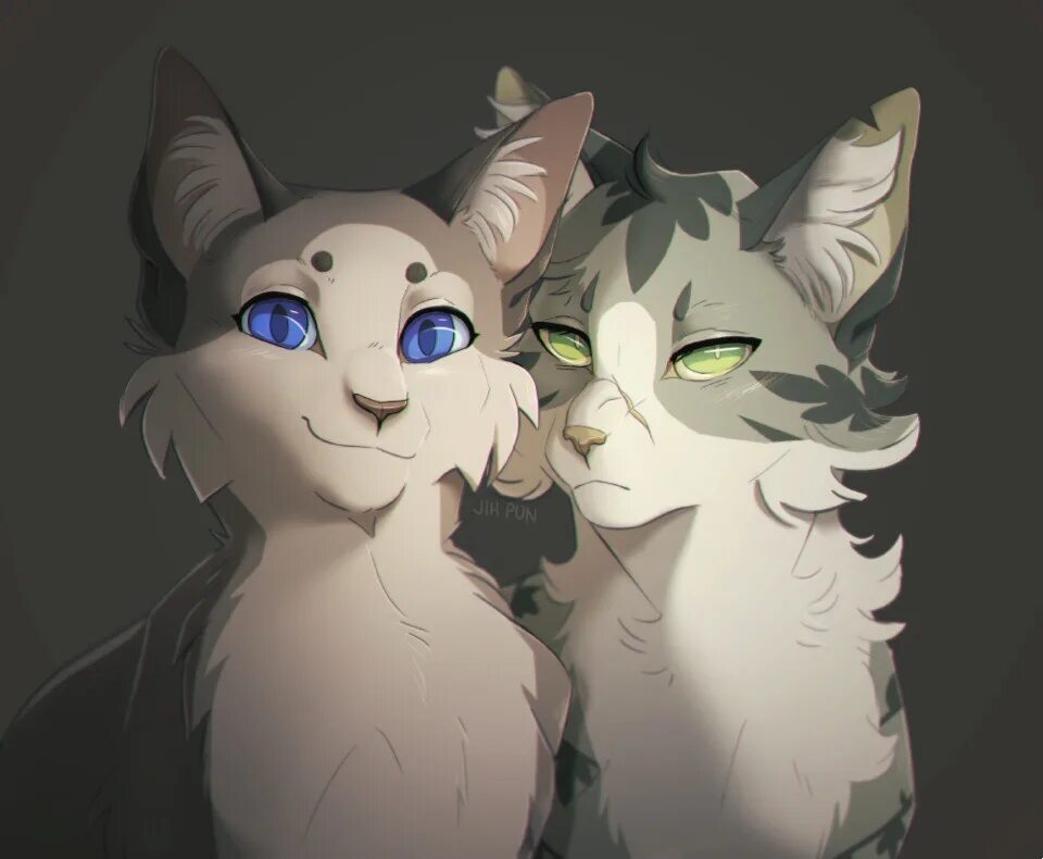 Голубка коты. Ivypool коты воители. dovewing коты воители.