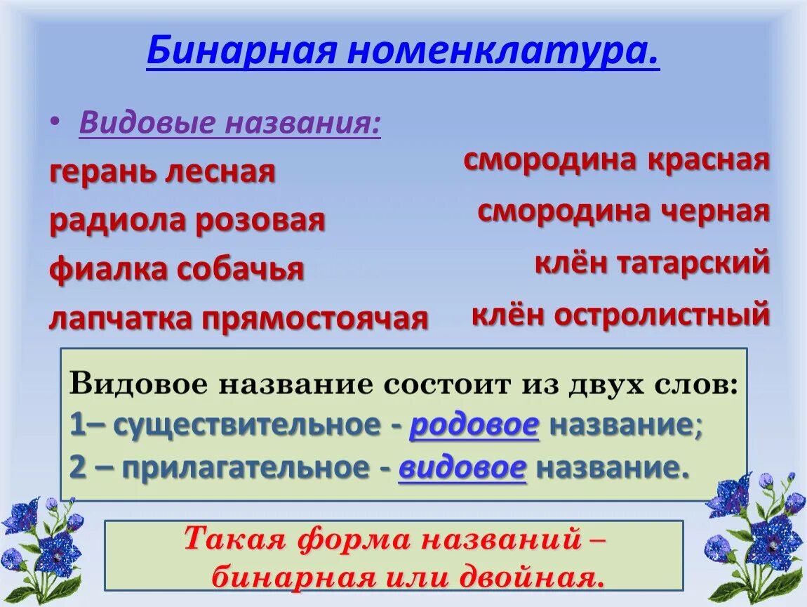 Видовое название человека. Номенклатура в биологии. Бинарная номенклатура растений. Бинарная номенклатура примеры. Бинарные названия растений.