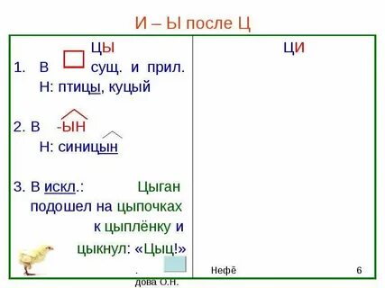 Ц цы