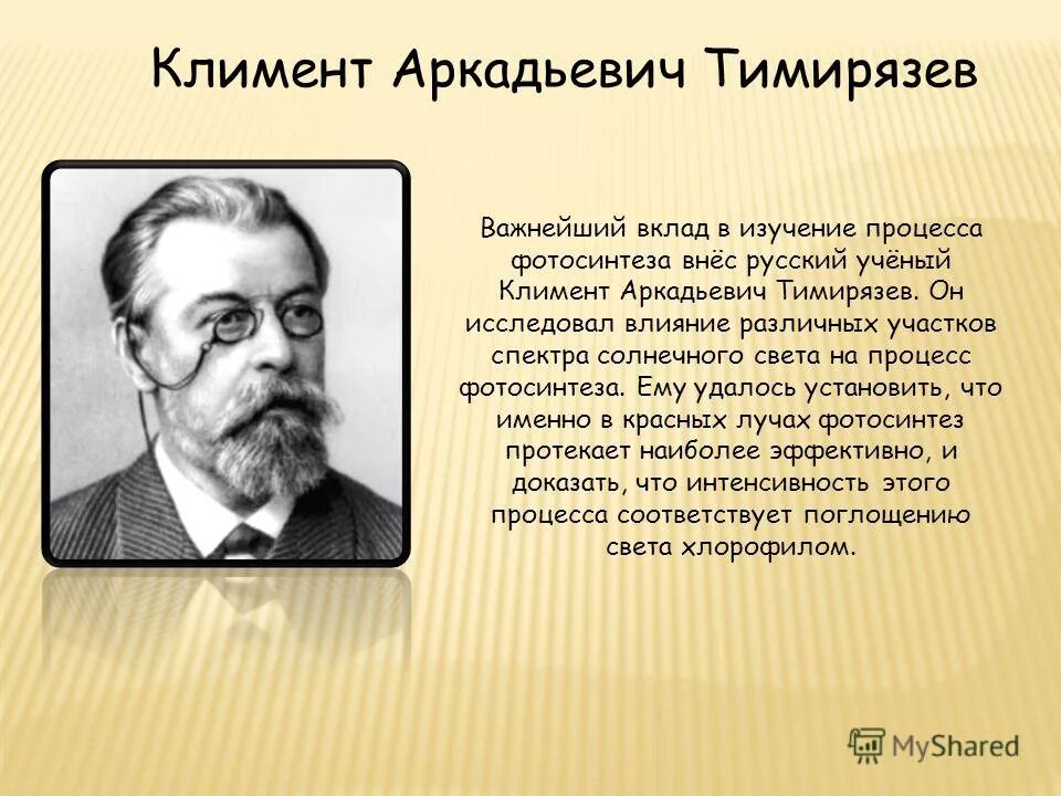 Впервые значение хлорофилла установил русский ученый