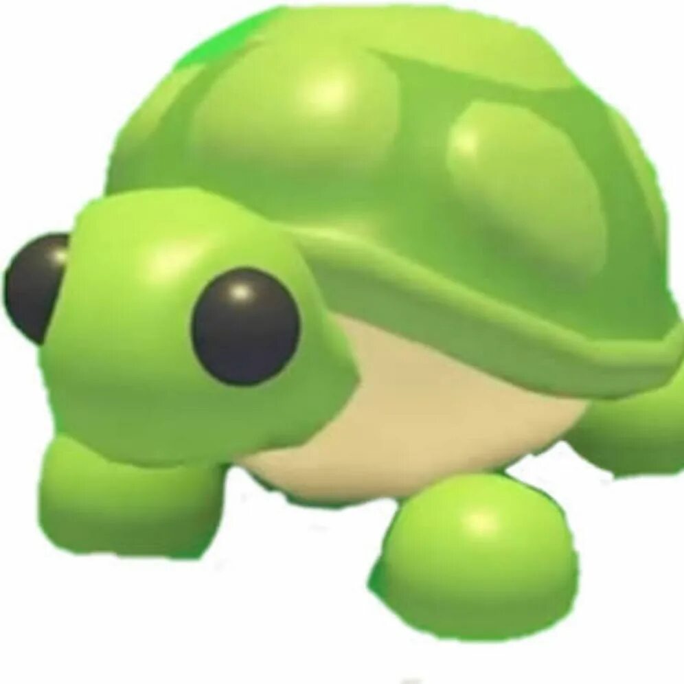 T1 turtle