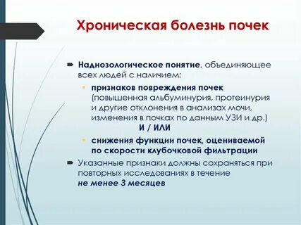 Современное лечение почек