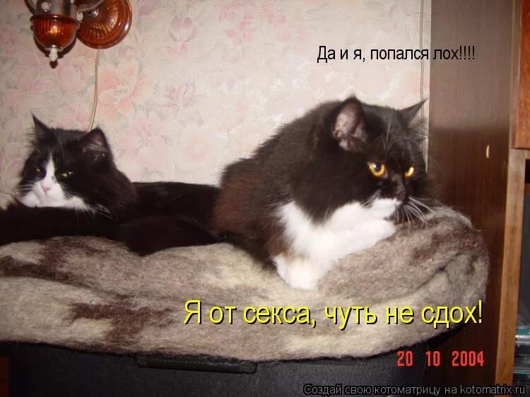 Чуть не неси