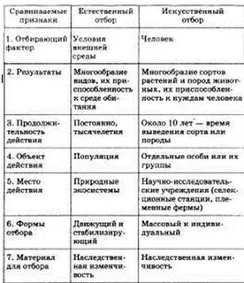 Сравнительная характеристика отборов