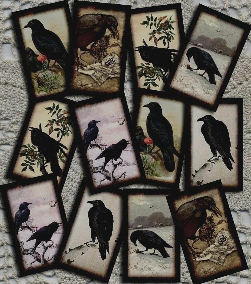 Предсказание от черного ворона пессимиста 9 букв. Crow Tarot / Таро ворона. Колода Таро черного ворона. Таро черного ворона галерея. Колода Воронов Таро.