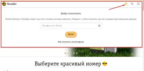 Пожаловать билайн