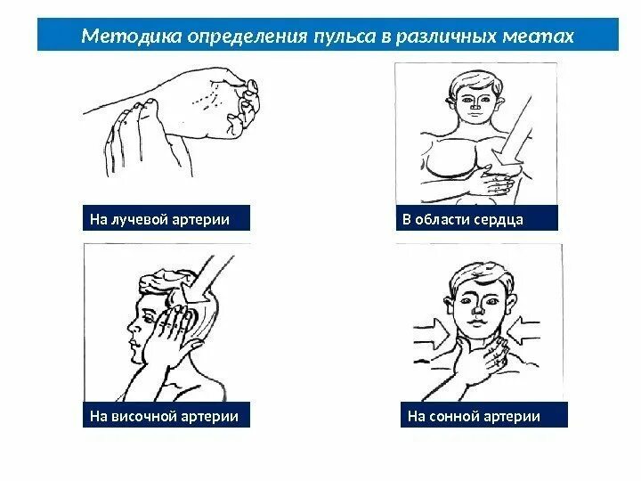 Пульсация в разных частях тела. Пульсация в разных частях тела