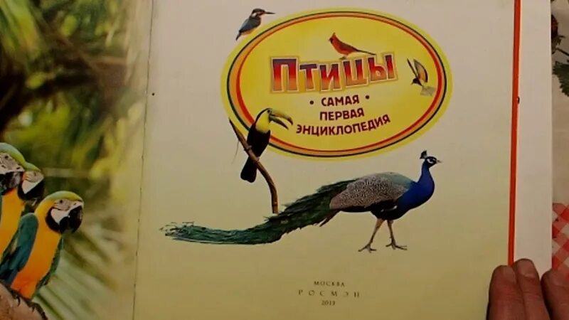 Энциклопедия мультфильмов. Самая первая энциклопедия птицы. моя первая энциклопедия. птицы. самая первая энциклопедия. детская энциклопедия. птицы.