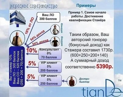 Образец совершенства 5