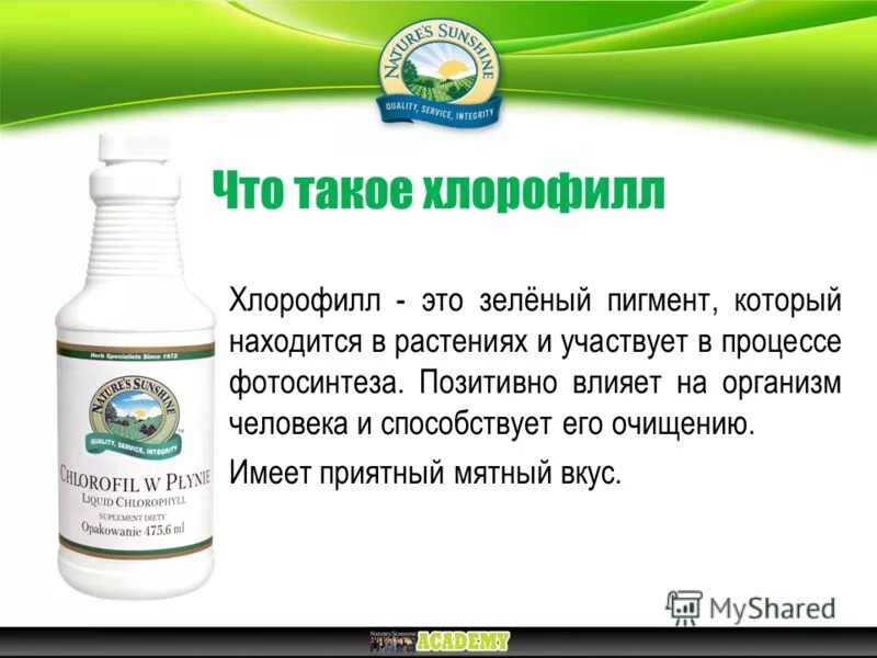 Организмы содержащие хлорофилл. Хлорофилл. пигмент хлорофилл. хлорофилл в растениях. хлорофилл для очищения организма.