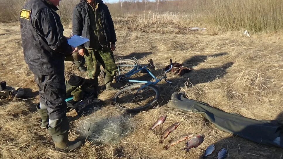 Мониторинг водных биологических ресурсов. Мониторинг водных биологических ресурсов