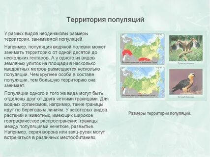Популяция является структурной