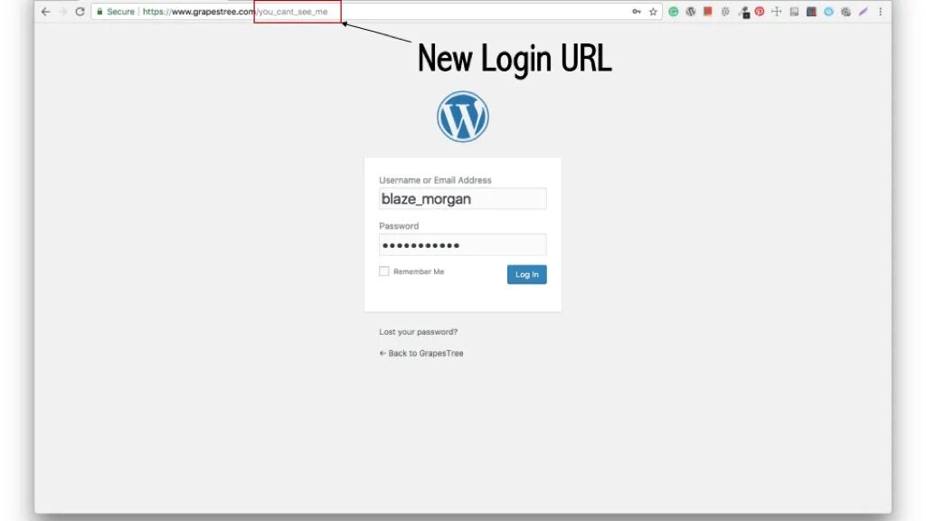 Url administrator