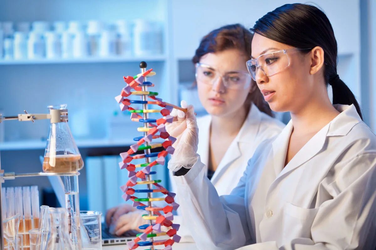 S science