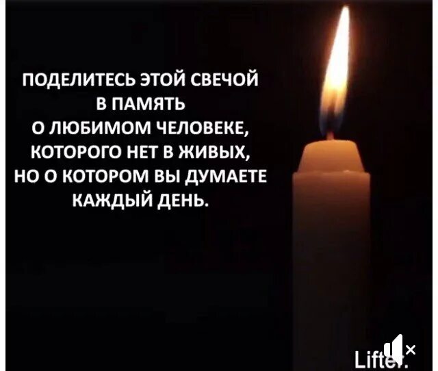 Слова которой нет в живых