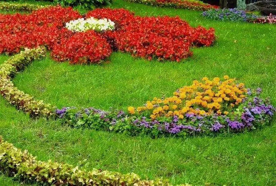 Рабатка тунберга однолетник. Цветочные клумбы. Орнаментные клумбы. Фигурные клумбы. Фото форм клумб.
