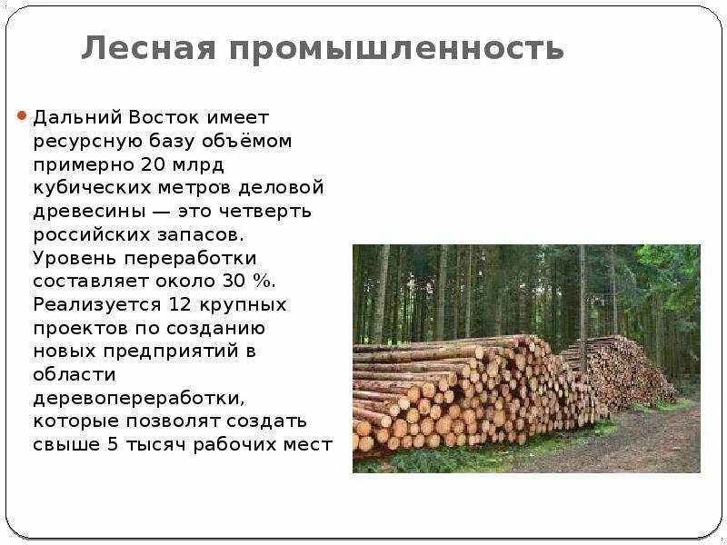 Лесопромышленность дальнего Востока. Базы Лесной промышленности. Лесная отрасль дальнего Востока. Лесная промышленность вывод. Форумы лесной отрасли вакансии
