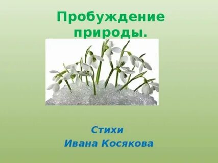 Тест весеннее пробуждение растений 2 класс