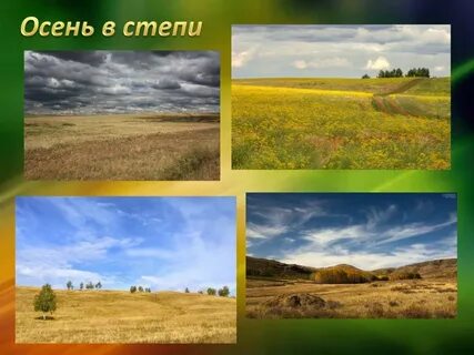 В степи 4 класс перспектива