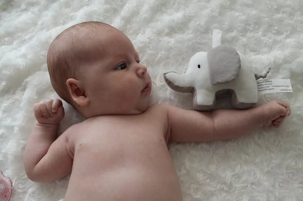 Новорожденный 1 месяц. Как выглядит новорожденный в 1 месяц. Новорожденный 1 месяц. Груднички 1 месяц. Фотосессия с малышом.
