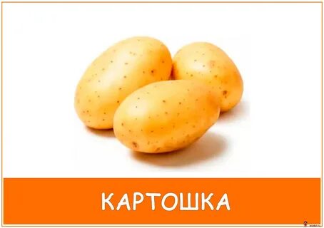 Детский сад картошка