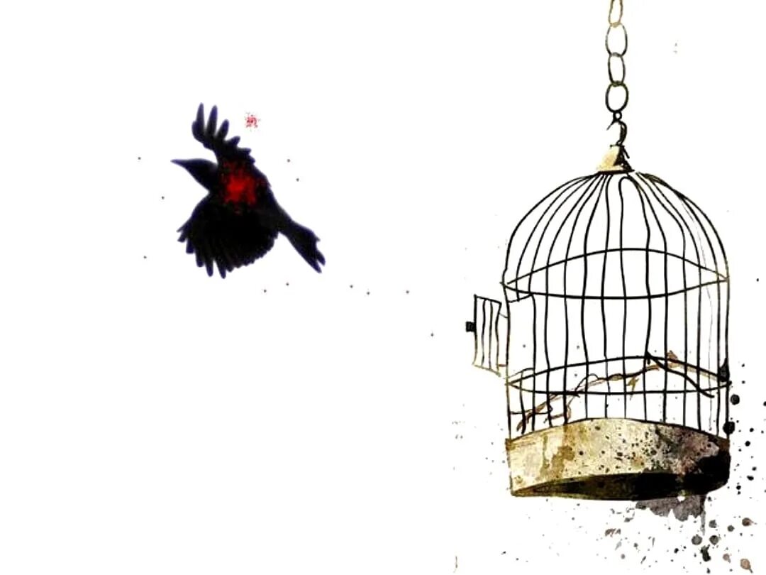 Keep me from the cages. Птица вылетает из клетки. Птица вырвалась из клетки. Выпустить птицу из клетки.
