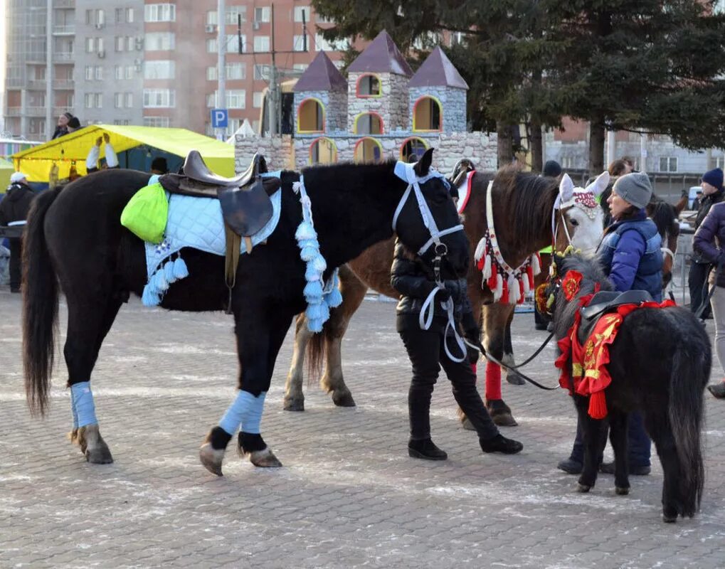 пальма де майорка улицы города. пальма де майорка улицы. лошади в городе. лошади в городе. красивые города лошадь города.
