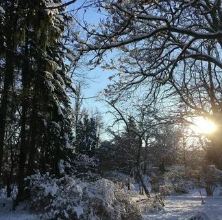 Ботанический сад имени гроздова брянск