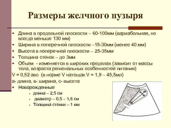 Объем желчного пузыря в норме по УЗИ. Нормальные показатели желчного пузыря при УЗИ. Нормальные Размеры желчного пузыря на УЗИ. Размеры желчного пузыря в норме по УЗИ У женщин таблица.