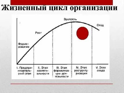 Жизненный цикл организации зрелость