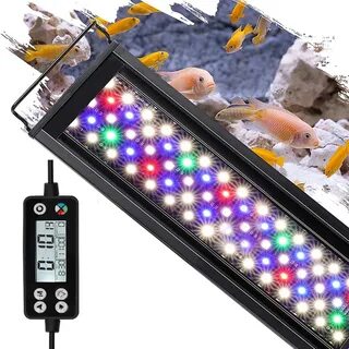 Led gr