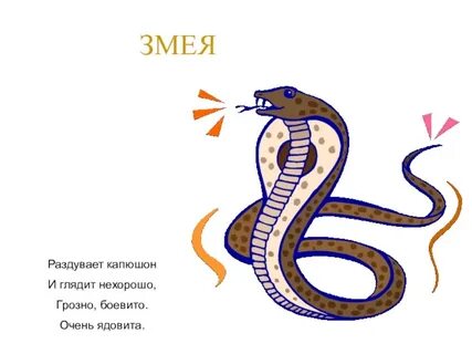 Змея по составу