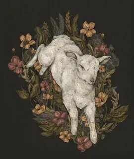 Art lamb