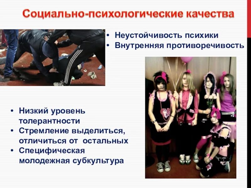 Молодежь как социальная группа молодежные субкультуры
