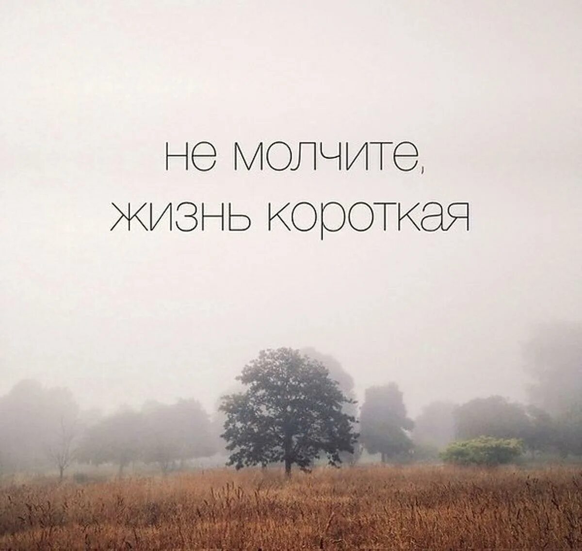 Долгожданный. Долгожданный. Долгожданный звонок. Долгожданный. Удачного отпуска пожелания.