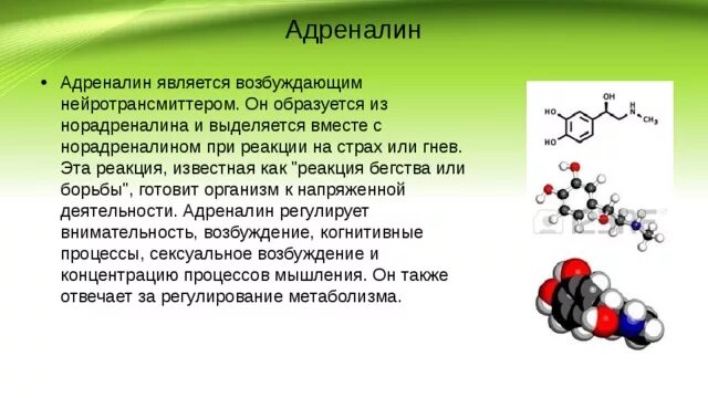 Адреналин гормон. Адреналин функции гормона. Выделение гормона адреналина. Адреналин функциональные группы. Плохой адреналин