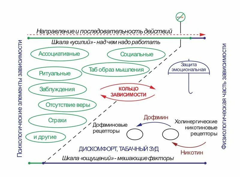 Бросаем курить за 2 вечера. Схема зависимости. Цикл зависимых отношений. Схема избавления от зависимости. Схема зависимых отношений.