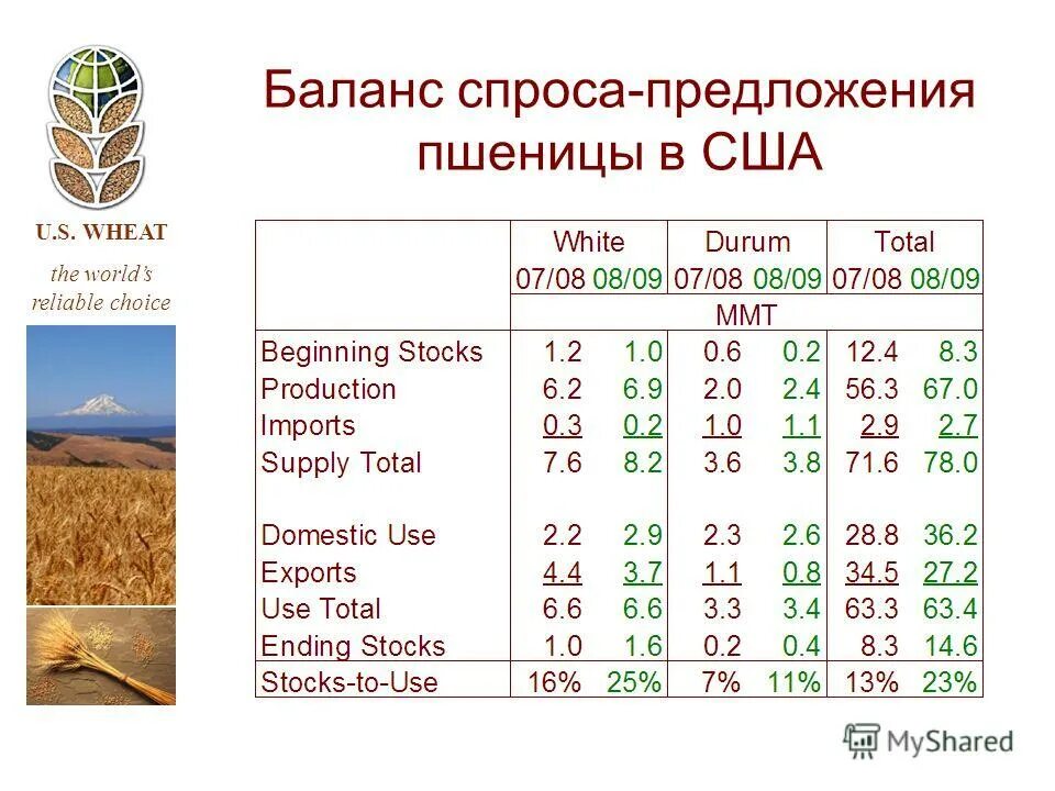 предложение со словом колосья. пословицы про пшеницу. зерновая по пшенице. пшеница культурное растение. сообщение о пшенице.