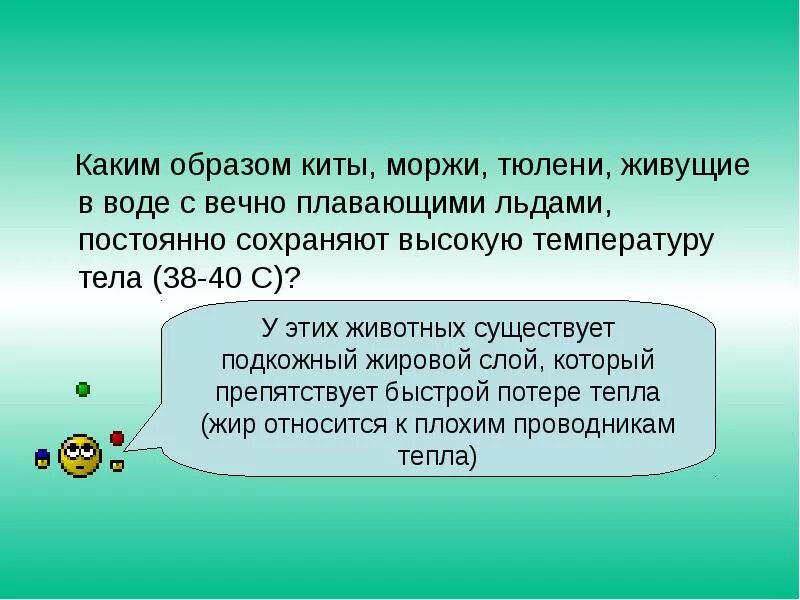 Какая температура тела у сивучей находящихся в воде. Этом сохраняется на высоком