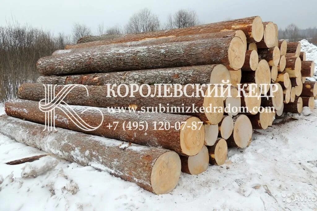 Как называется кругляк. Лес кругляк пиловочник. бревно сосны. кругляк сосна. сосновое бревно.