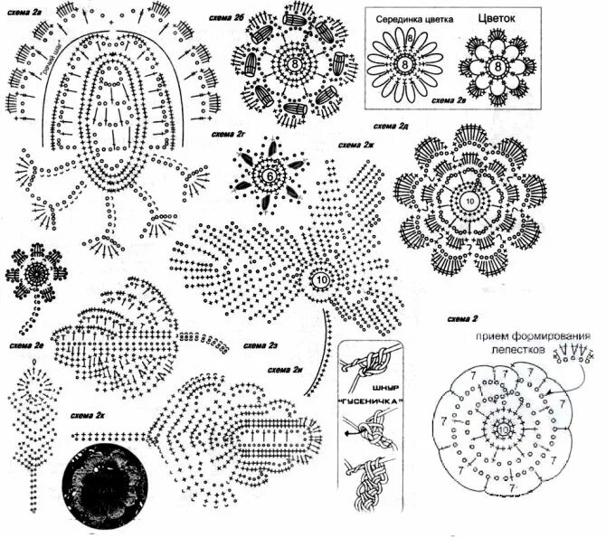 Pin by Andréa Augusta Husemann Patti on flores Irish crochet patterns, Irish cro