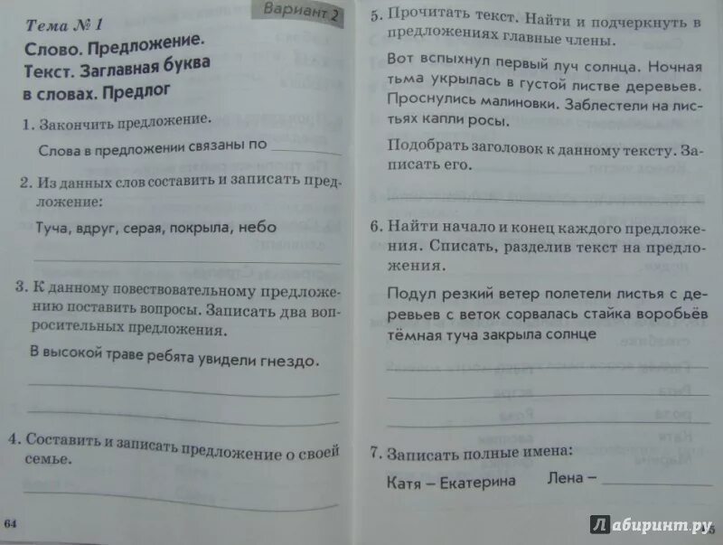 Тематический контроль знаний русский язык 2 класс голубь. Тематический контроль работа с текстом. Голубь 4 класс русский. Тематический контроль по русскому 4 класс.