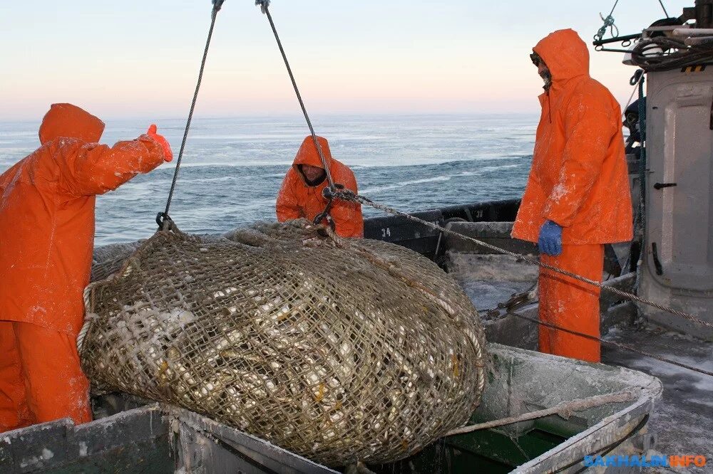 Рыбопромышленный комплекс Сахалин. Охотское море рыболовство. Охотское море промысел. Промысловые рыбы Охотского моря.