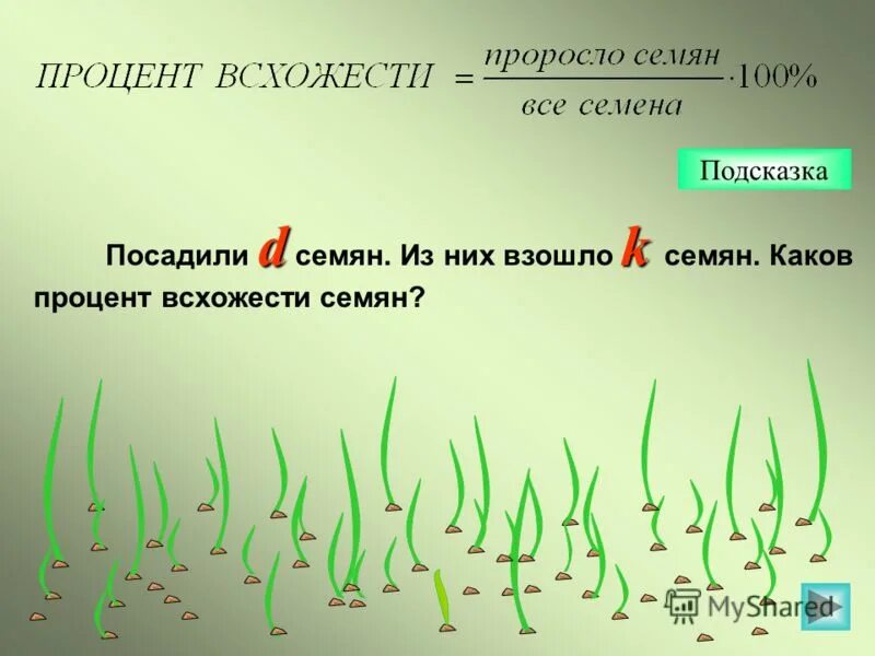 Как определить энергию прорастания семян в процентах. Энергия прорастания семян формула. Формула всхожести семян. Всхожесть семян пшеницы. Как пишется слово прорастет