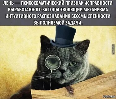 Лень выше интеллект