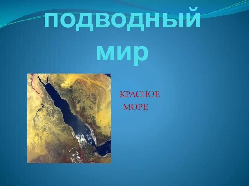 Описание красного моря 6 класс. Описание красного моря 6 класс