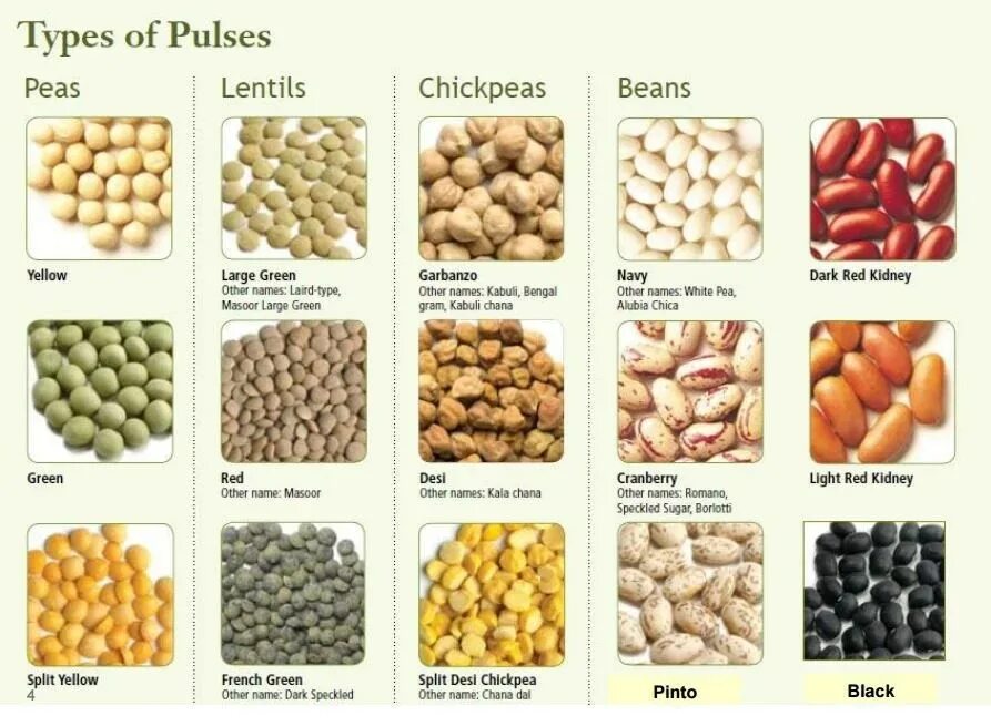 Grains на английском. Types of grains. Бобовые крупы. Cereals vocabulary. Зерновые продукты на английском.
