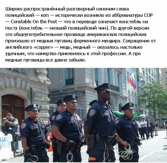 Полицейский сша. Интересные факты о полиции сша. Российская полиция. Полиция россии. Полиция картинки.