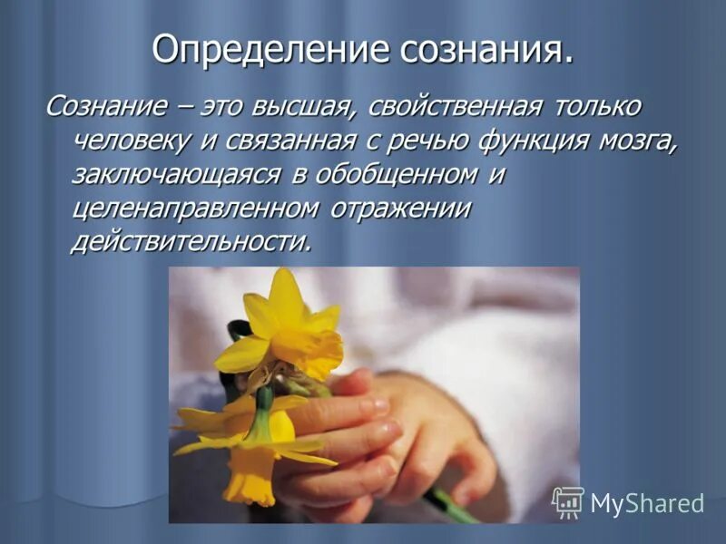 сознание это функция мозга свойственная. сознание это высшее свойственное только человеку. структура бессознательного в философии. сознательное и бессознательное в философии. сущность сознания в философии.